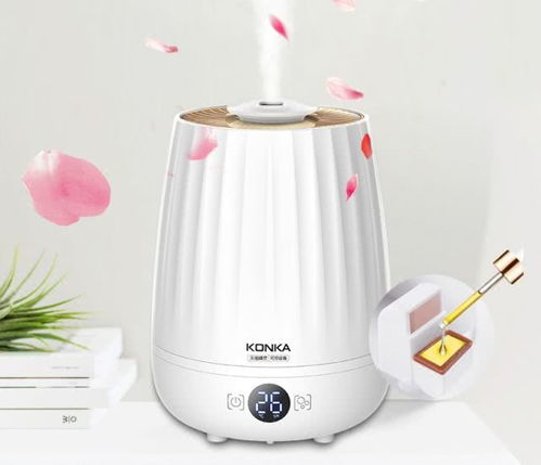 智加設計干貨分享 盤點常見小家電與塑料日用品的創新設計